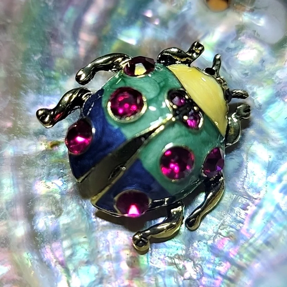 NEW 🐞 Rainbow Colored Beatle Lady Bug Womens Pin Brooch Red Rhinstone Gold Tone